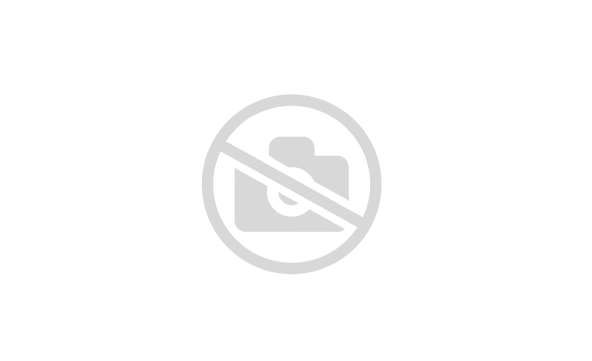 2.ROLLSCHARKOERPER